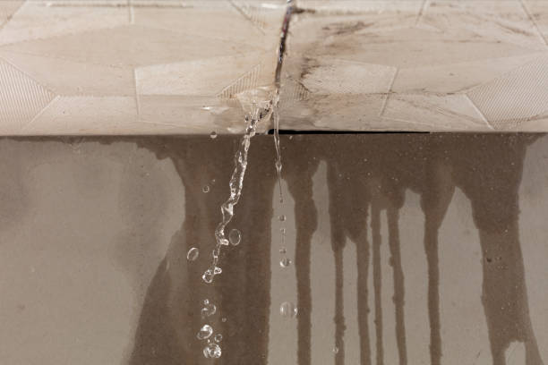 Professional Sewage Cleanup technician working in Amherst, TX